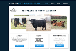 Canadian Galloway Association